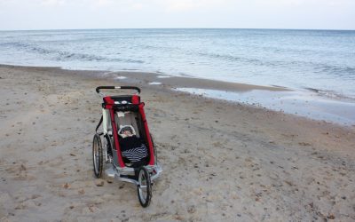 Thule Chariot