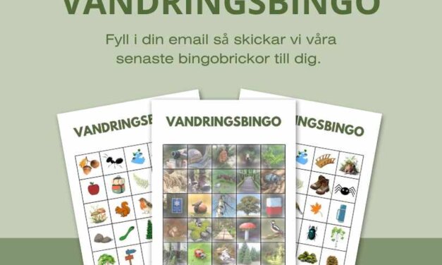 Vandringsbingo