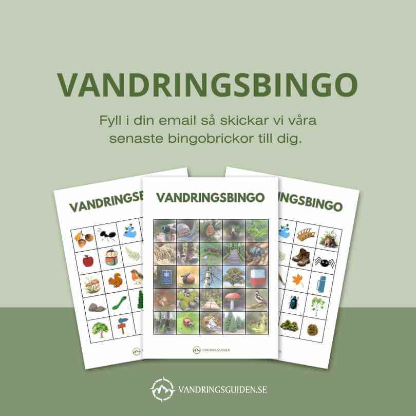 Vandringsbingo