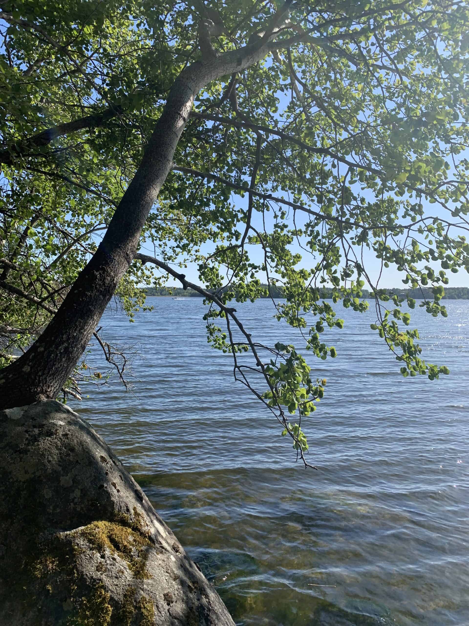 Tips på fina dagsvandringar i och omkring Stockholm